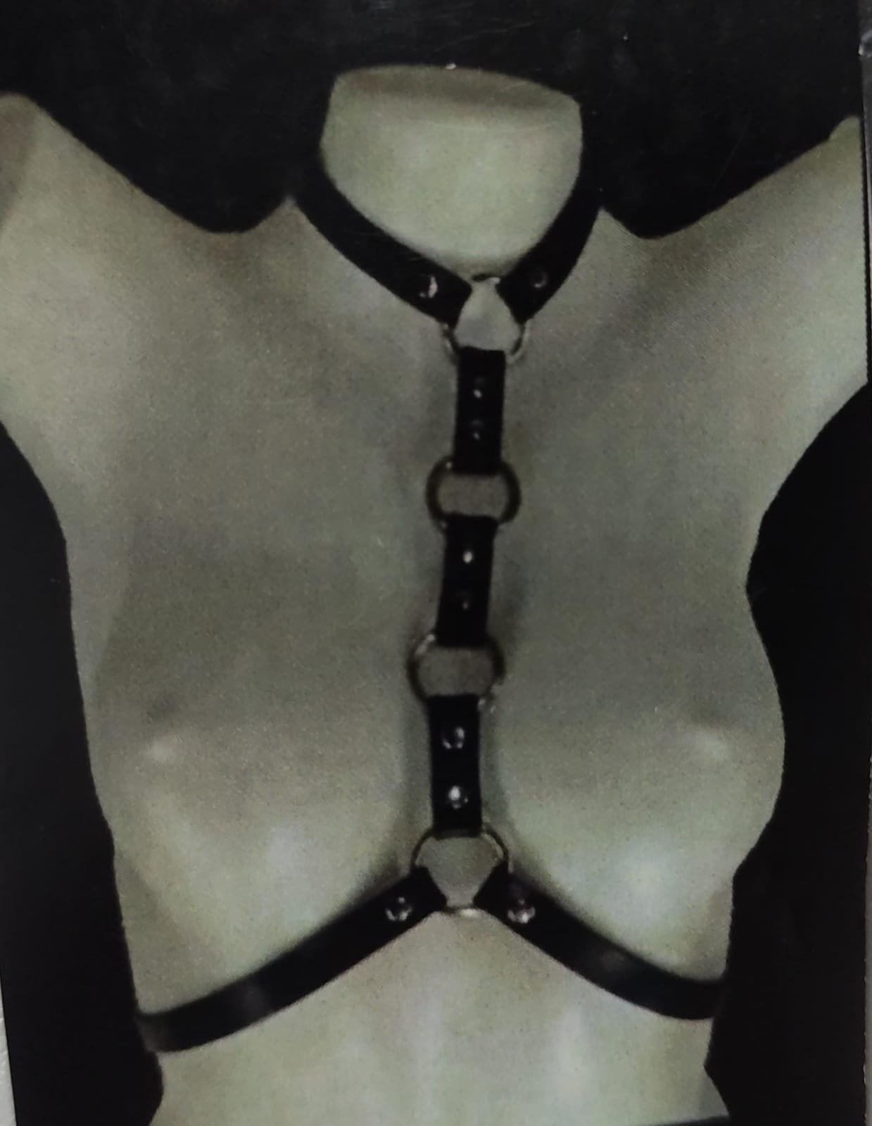 Harness Tica