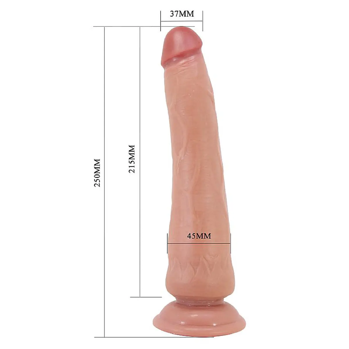 PÊNIS REALÍSTICO TIEMEYER 25CM COM VENTOSA TEXTURA NATURAL MARROM PÊNIS REALÍSTICO TIEMEYER 25CM COM VENTOSA TEXTURA NATURAL MARROM - vista adicional - Butique Bella